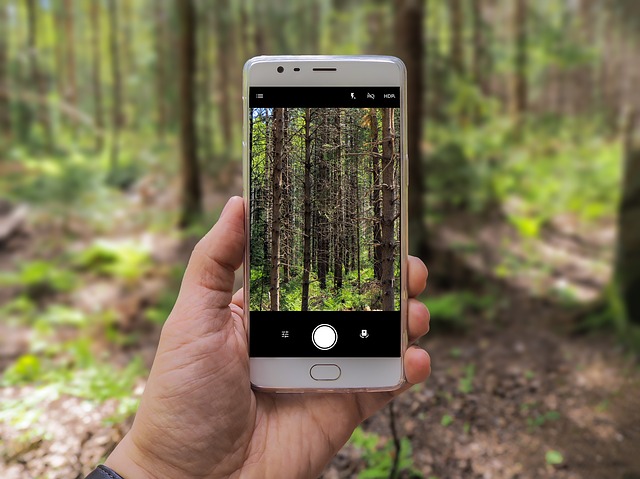 Mobile phone in the forest