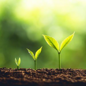 DataIQ Leaders briefing – Developing the next generation of data leader