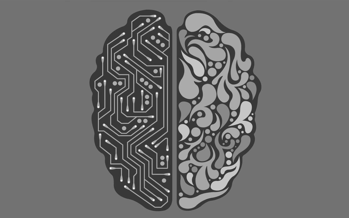 RobotBrain Main