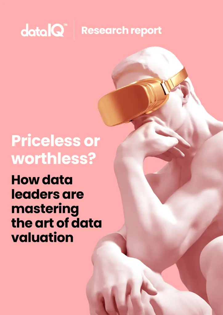 Reports 19 DataIQ RR priceless cover