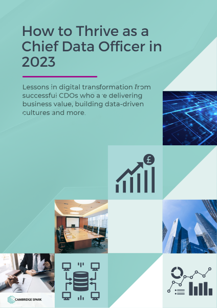 how-to-thrive-as-a-chief-data-officer-in-2023