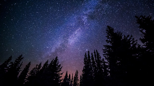 Milky Way and trees