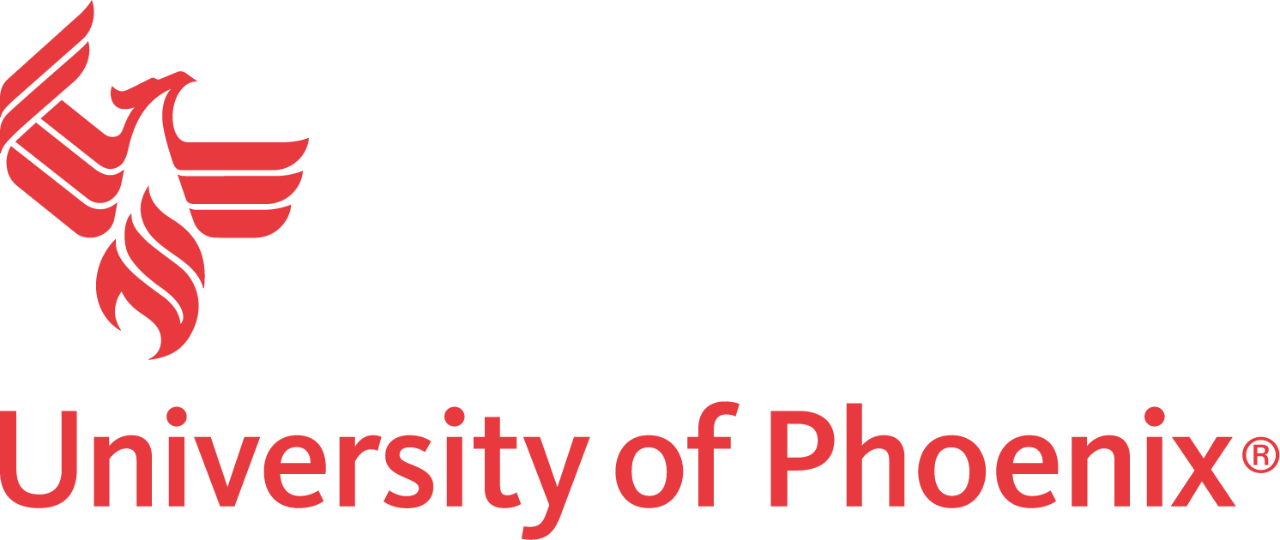 Vice President of Analytics