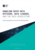 enabling-cdos-and-the-data-revolution