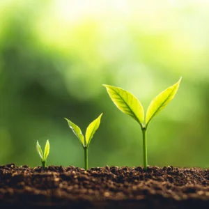 DataIQ Leaders briefing – Developing the next generation of data leader