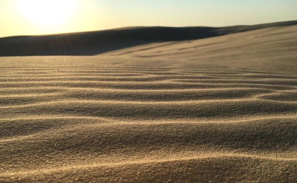 SandDunes Main