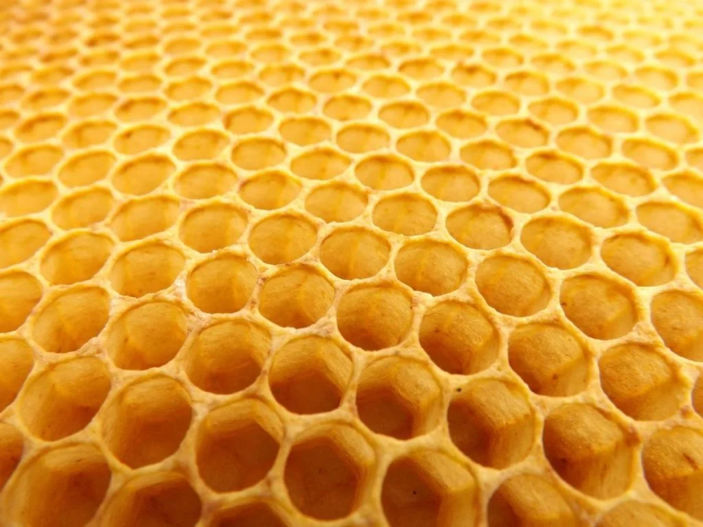 Key factors in deciding where to place your data organisation 2 honeycomb_beekeeping_beehive-923608.jpgd.jpeg