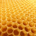 honeycomb_beekeeping_beehive-923608.jpgd.jpeg