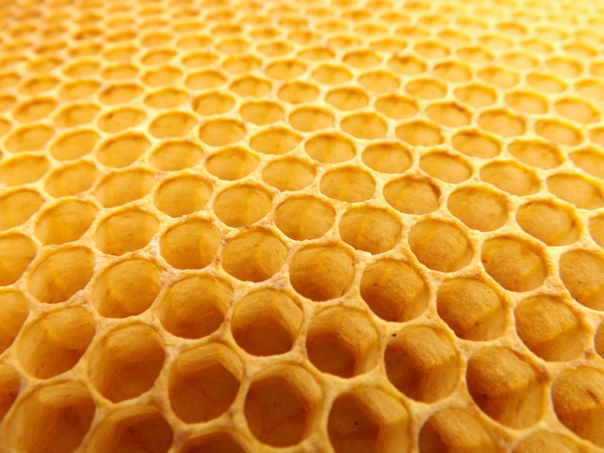 honeycomb_beekeeping_beehive-923608.jpgd.jpeg