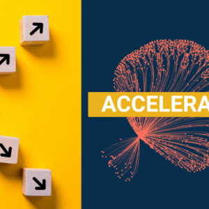 Accelerator – Leveraging Executive Enthusiasm for AI to Progress on Data Foundations
