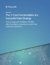 the-11-core-functionalities-of-a-successful-data-strategy