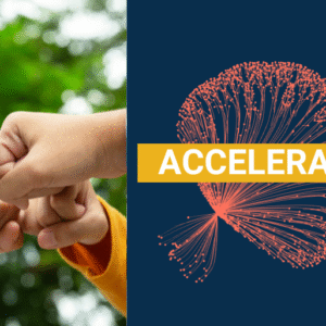 Accelerator – Advancing AI Literacy: From Awareness to Adoption Across the Organisation