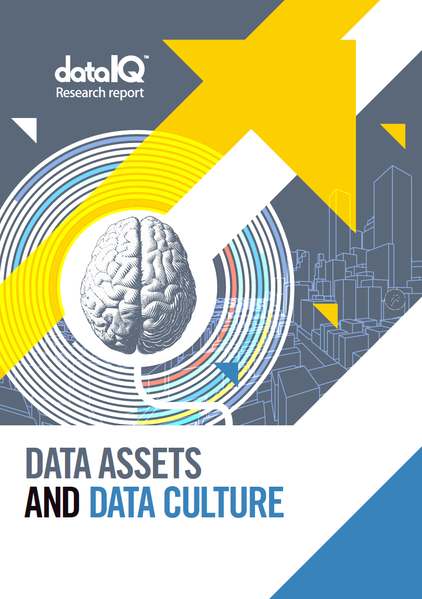 Data assets and data culture 13 data-assets-and-data-culture