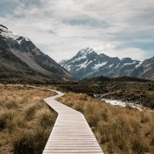 The Universal Mandate for Data and AI Leaders