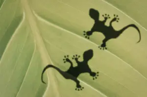 Making Data Products Stick