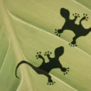 Making Data Products Stick: Driving Adoption, Speed and Value in Mature Organisations