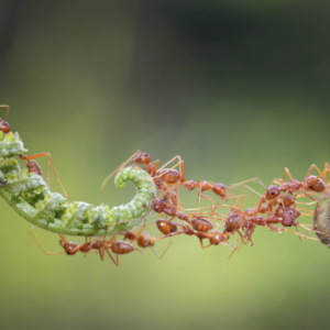 What Does It Take to Lead Data, AI, and Cultural Transformation in 2026?