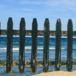 How can we Successfully Innovate within Highly Regulated Environments?