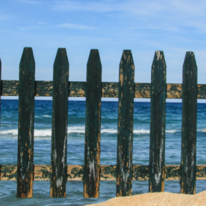 How can we Successfully Innovate within Highly Regulated Environments?
