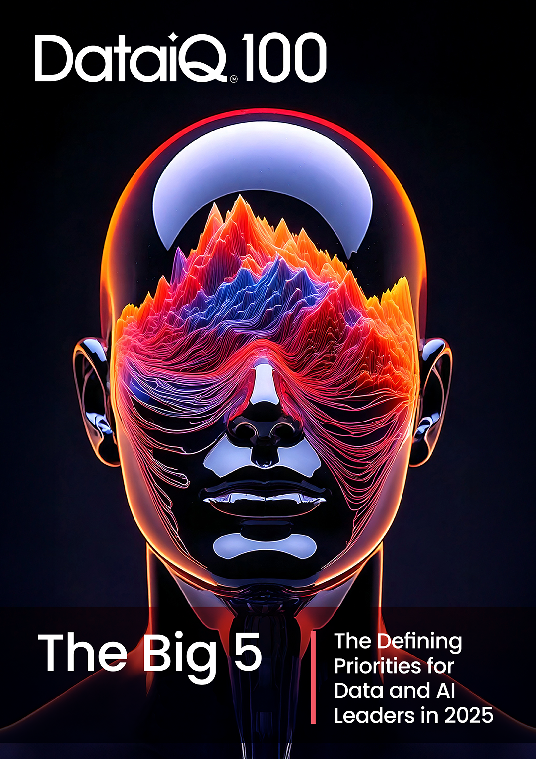 Thebig5 report cover