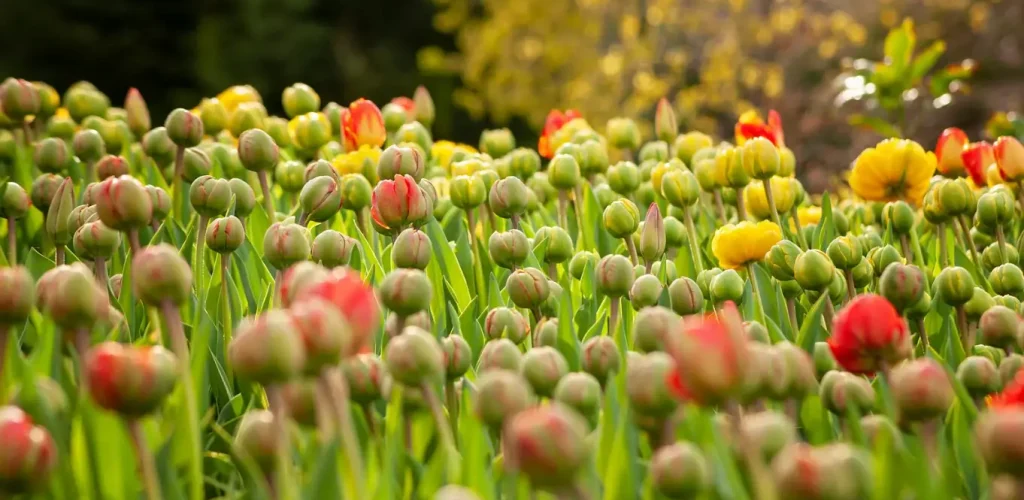 DataIQ 100 nominations are closing soon