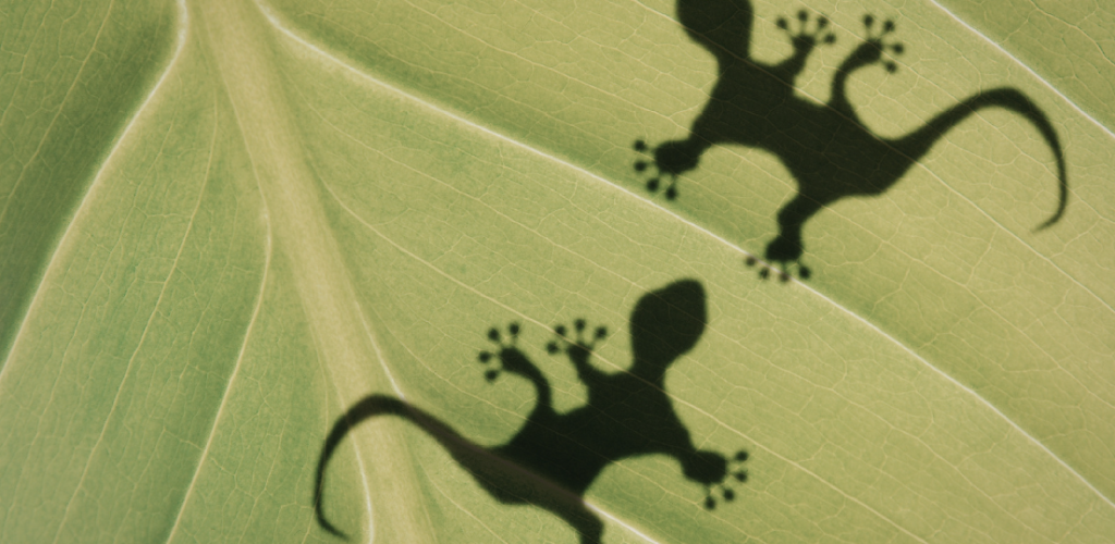 Making Data Products Stick