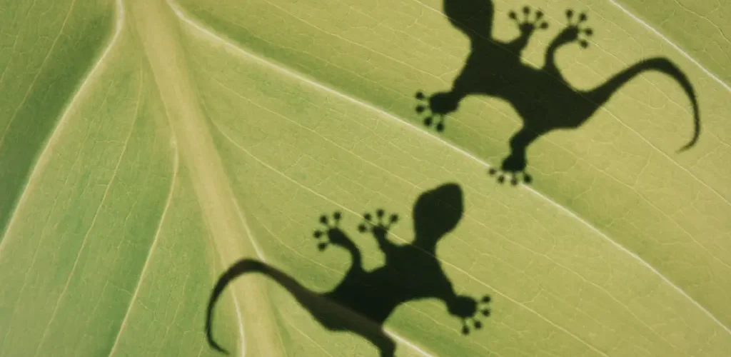 Making Data Products Stick