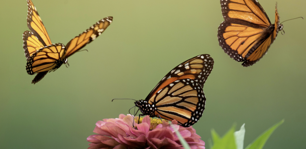 Hiring, Upskilling, Retaining: What Actually Solves the Data Talent Gap?