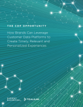 the-cdp-opportunity